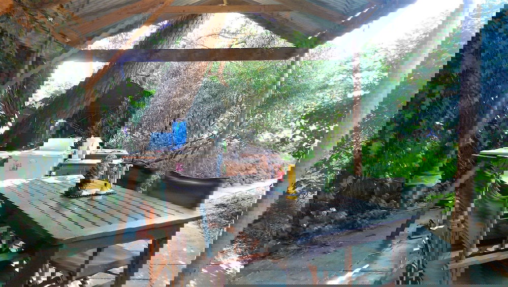 Foster Accommodation