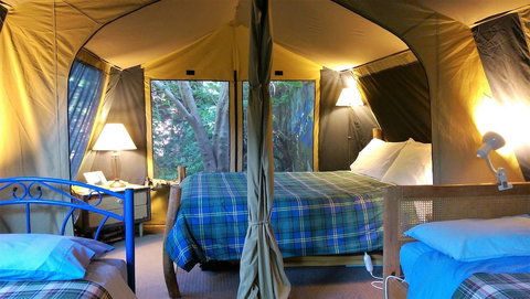 The Black Cockatoo Nannup - Foster Accommodation 4