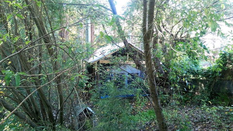 The Black Cockatoo Nannup - Foster Accommodation 1