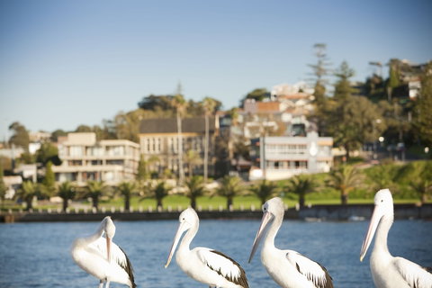 The Sebel Harbourside Kiama - Foster Accommodation 1