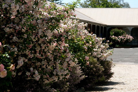 Wine Village Motor Inn - Foster Accommodation 1