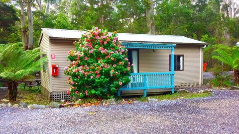 BIG4 Strahan Holiday Retreat - Foster Accommodation 6