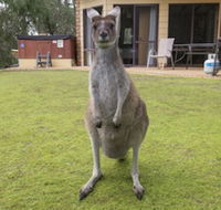Yelverton Brook Conservation Sanctuary - Foster Accommodation