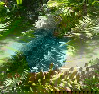 Palm Cove Tropic Apartments - Foster Accommodation