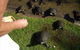 Alexander Lakeside Bed & Breakfast - thumb 7