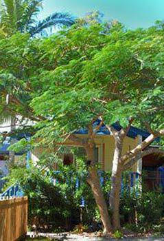 Ewingsdale NSW Foster Accommodation
