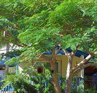 Amber Gardens Guesthouse - Foster Accommodation