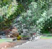 Oasis at Palm Cove - Foster Accommodation