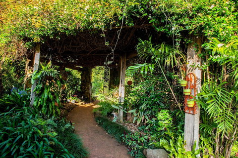 Tamborine Mountain B&B - Foster Accommodation 1