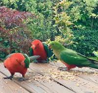 Crimson Villa - Foster Accommodation