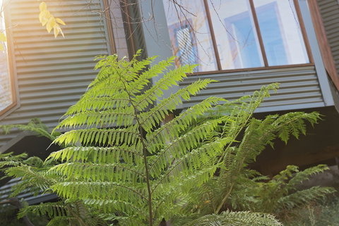 Cladich Pavilions - Foster Accommodation 1