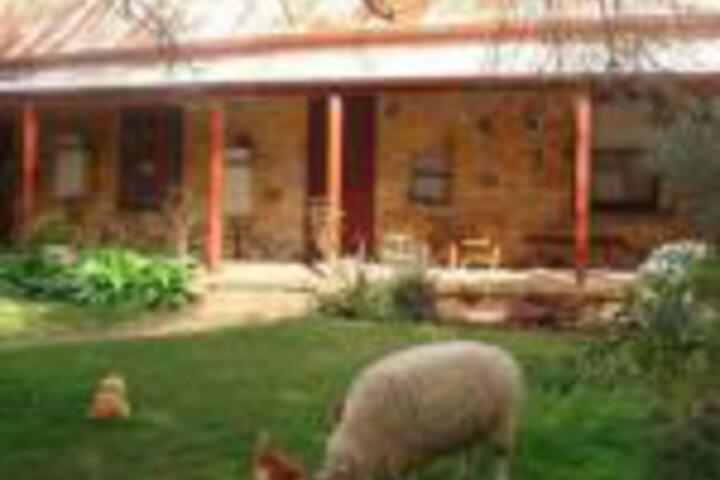Wistow SA Foster Accommodation