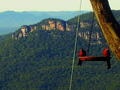 Valley Of The Waters B&B - Foster Accommodation 3