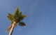 Tuscany Apartments - thumb 5