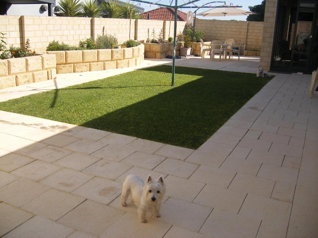  Foster Accommodation