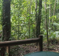 Daintree Crocodylus - Foster Accommodation