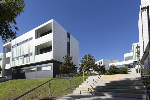 Western Sydney University Village - Campbelltown Campus - Foster Accommodation 1