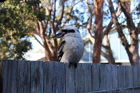 POINT BREAK WEEKLY ONLY - Foster Accommodation 2