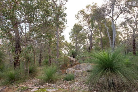 A Hidden Bush Delight - Foster Accommodation 6