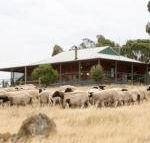 Gilgraves Vineyard Farmstay - Foster Accommodation