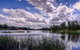 Cherry Blossom Cottage Beechworth Getaways - thumb 2
