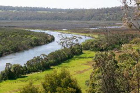 Brodribb River Rainforest Cabins Cabin 1 - Foster Accommodation 4