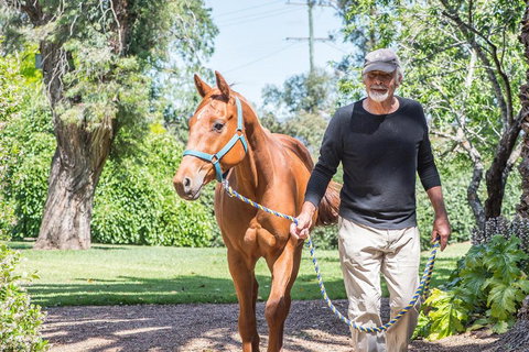 Russley Rural Retreat - Foster Accommodation 3