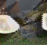 William Hunts Retreat Cypress Studio - Foster Accommodation