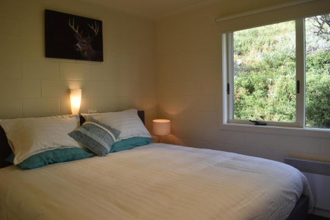 Razorback 8 - Foster Accommodation 5