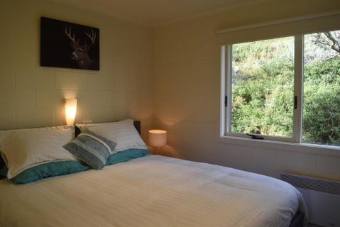 Razorback 8 - Foster Accommodation 3