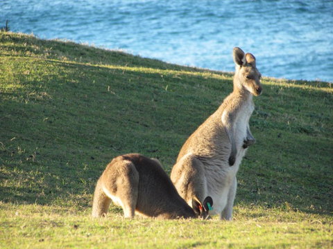 Lake Russell Retreat - Foster Accommodation 6