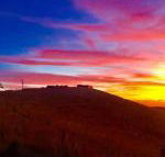 One Tree Hill - Foster Accommodation