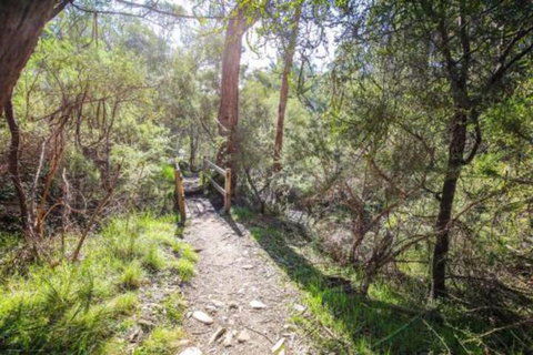 Northern Exposure - Foster Accommodation 7