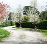 Robin Hill Manor rambling retreat  tennis court - Foster Accommodation