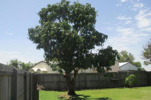 Fishermans Cottage Hervey Bay - Foster Accommodation 2