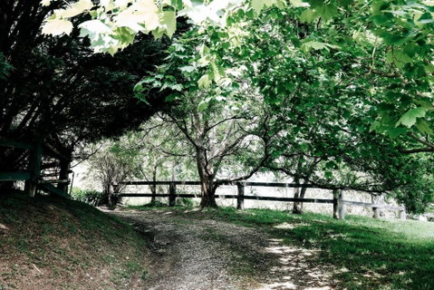 Braebrook Stunning Farm House! - Foster Accommodation 3