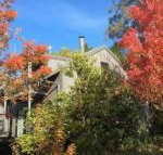 Cloudsong Chalet 4 Close to the village centre - Foster Accommodation