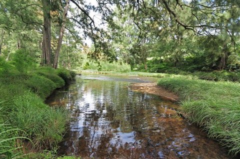 Love Shack 1 Bedroom Cosy Cottage! - Foster Accommodation 2