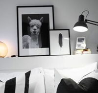 105flora Cozy Stay Prahran Lively Neighbour - Foster Accommodation