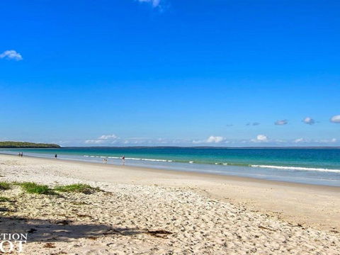 Callala Dreaming Mid Century Beach House - Foster Accommodation 1