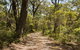 Riverbend 5 Acres Only 9km To Village - thumb 3