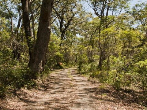 Riverbend 5 Acres Only 9km To Village - Foster Accommodation 3