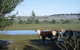 Sutton Downs Renovated Country Home On 100 Acres - thumb 7