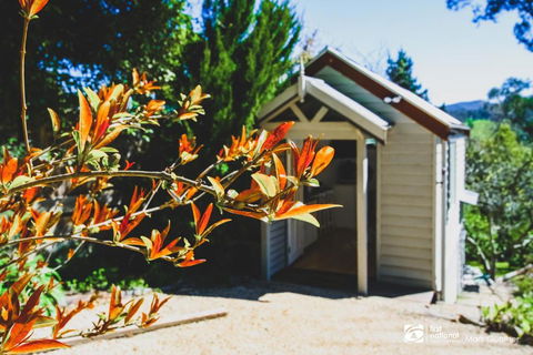 ALSACE HEALESVILLE - Foster Accommodation 2