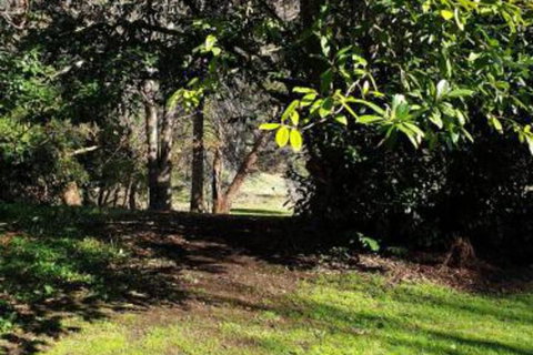 Redruth 2 Bedroom Cottage Situated In Wandiligong - Foster Accommodation 4