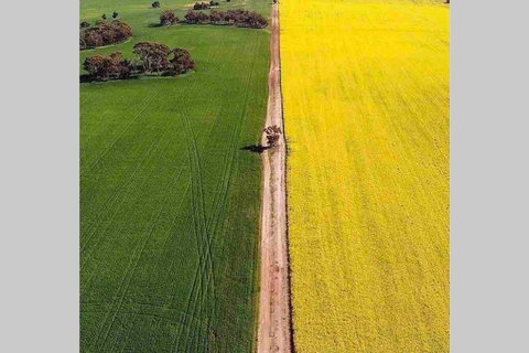 Salty Cottage Northam - Foster Accommodation 3