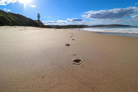 Surfers Paradise At Catherine Hill Bay - Foster Accommodation 2