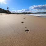 Surfers Paradise At Catherine Hill Bay - Foster Accommodation 0