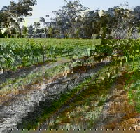 Renovated Cottage Aberdare Hunter Valley - Foster Accommodation