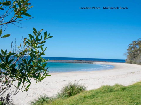 Tallwood Ave 77 Mollymook - Foster Accommodation 3